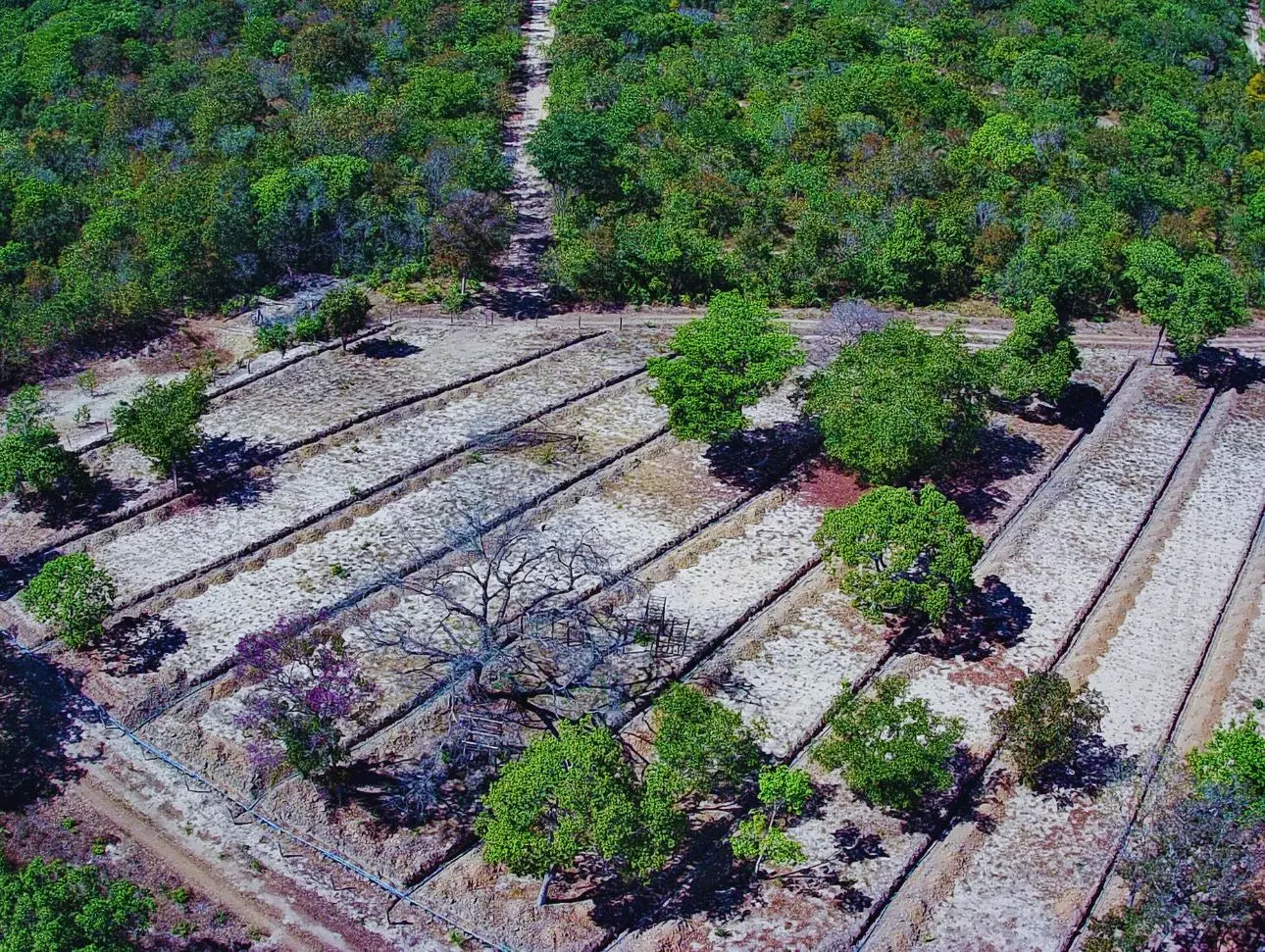 Processo de obra Paraíso do Pescador (8)