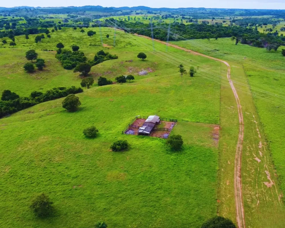 Fazenda Tocantins - Arapoema (2)