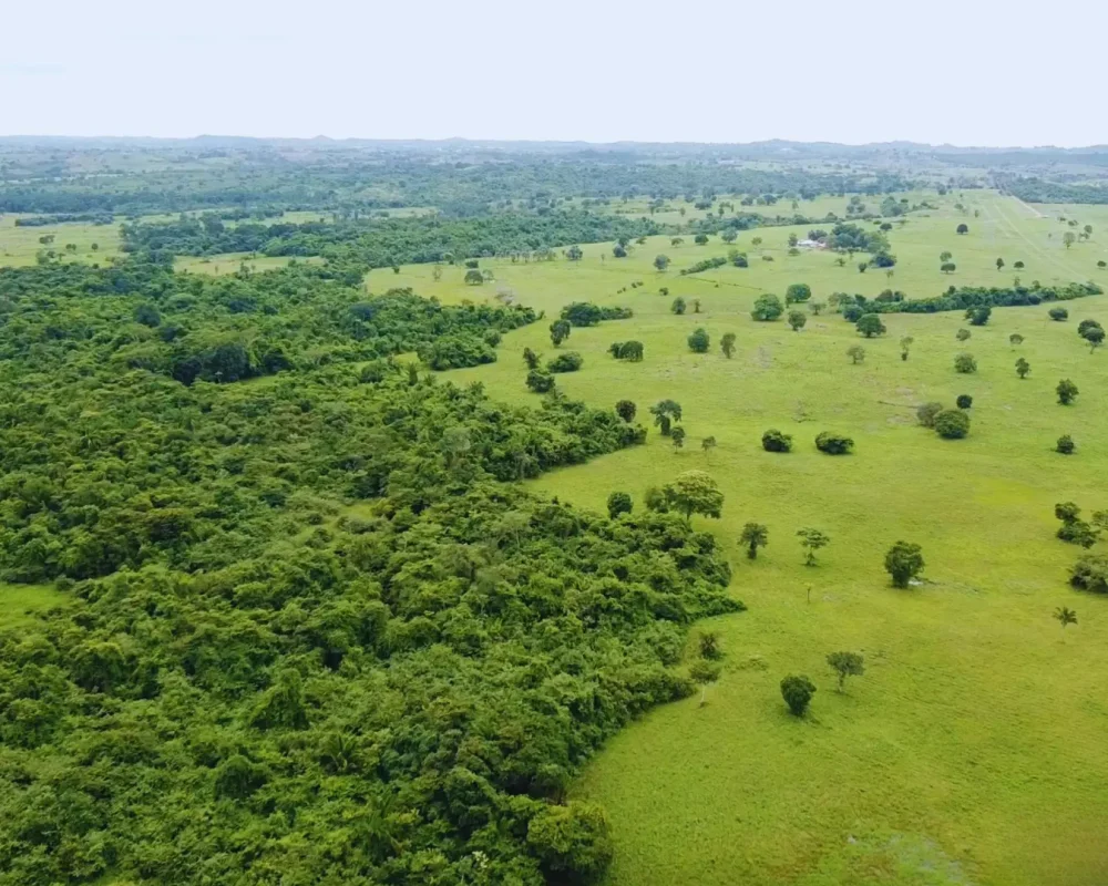 Fazenda Tocantins - Arapoema (3)