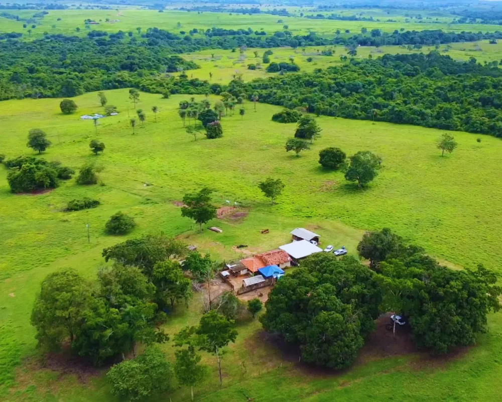 Fazenda Tocantins - Arapoema (4)