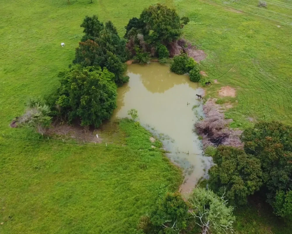 Fazenda Tocantins - Arapoema (5)