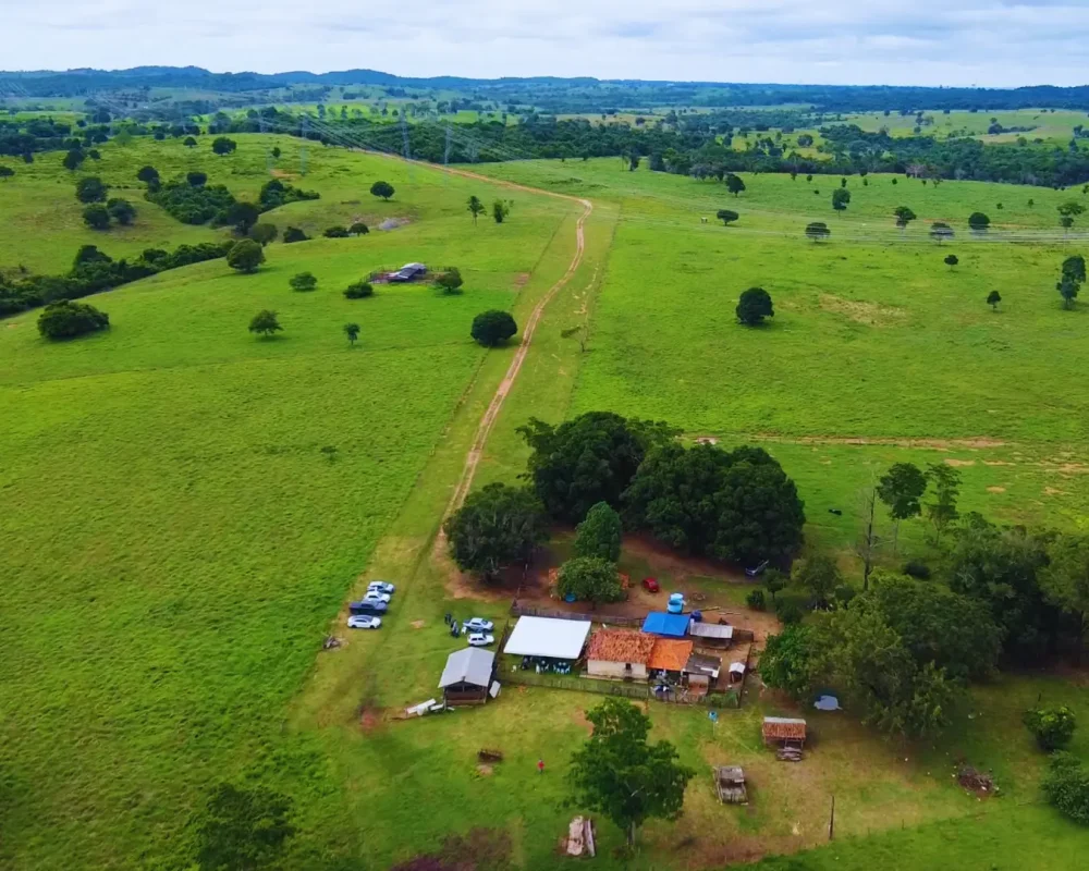 Fazenda Tocantins - Arapoema (6)